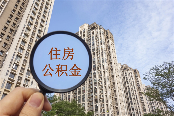 湛江深圳公积金（深圳公积金首页）